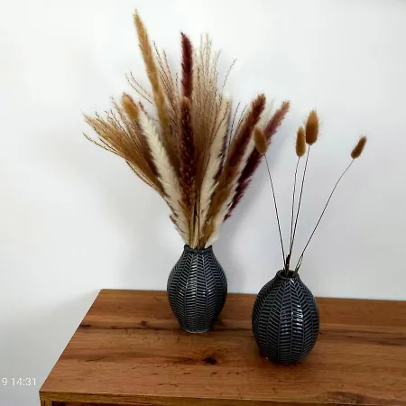 Conde De La Encina Vakantiehuis *